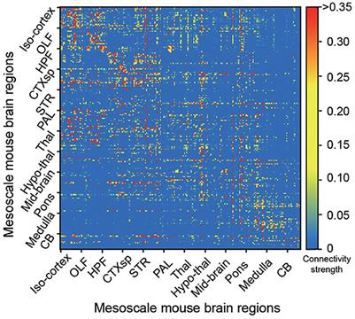 Brain topology improved spiking neural network for efficient reinforcement learning of continuous control